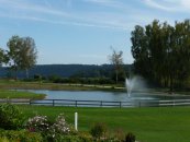 130 0 0 images stories archiv teich mit wasserfontne