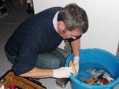 137 0 0 images stories archiv kopie von dr. bretzinger 17.11.10 005