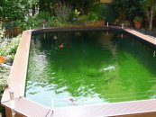 180 0 0 images stories fische im teich stammtisch 01.07.12 leibl 014