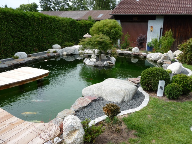 kopie von teich geimann juni 2012