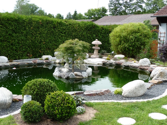 kopie von teich geimann juni 2012