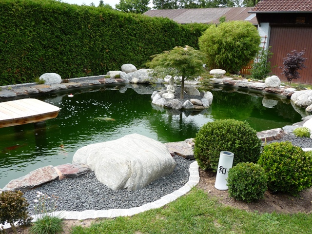 kopie von teich geimann juni 2012